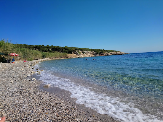 DSC 0457 - Marmara Bölge Gazetesi