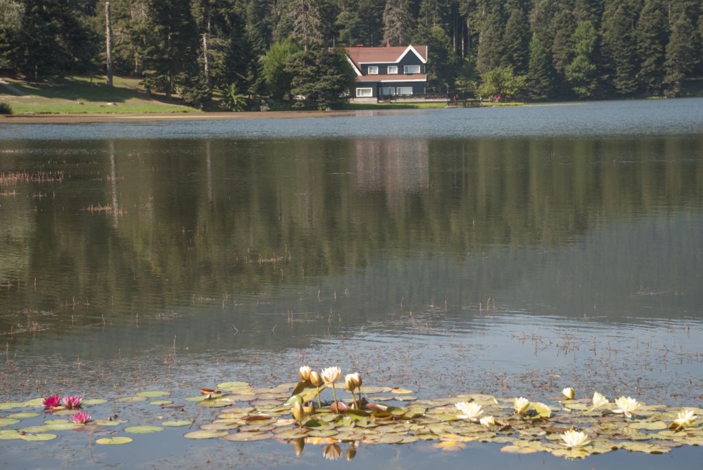 Golcuk Golu Bolu - Marmara Bölge Gazetesi