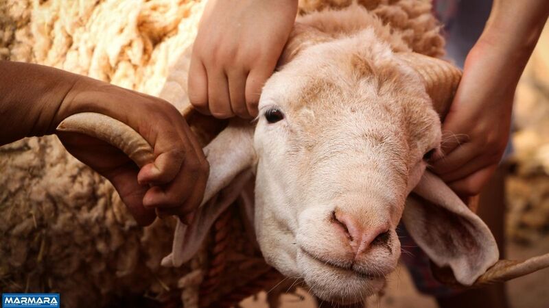 Burhaniye Belediyesi, yaklaşan Kurban Bayramı öncesinde vatandaşların rahat ve sağlıklı