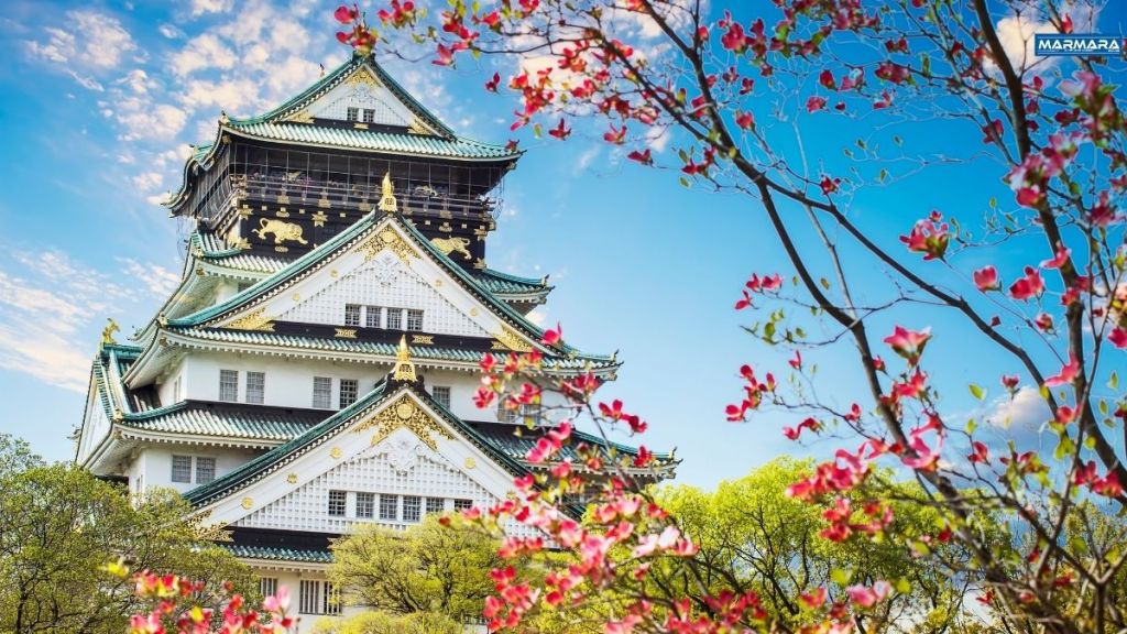 İşte Turistler İçin Dünyanın En İyi 10 Ülkesi Türkiye Kaçıncı Sırada? Phaselis Koyu 2025 06 02T181302.571 - Marmara Bölge Gazetesi