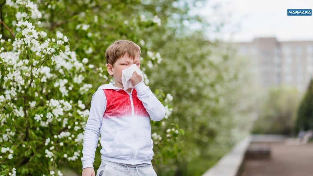 Phaselis Koyu 2025 06 02T184338.635 - Marmara Bölge Gazetesi