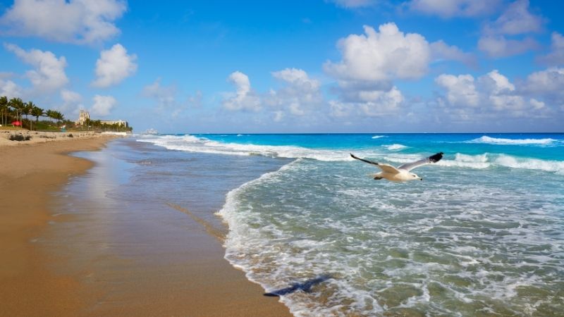 Balıkesir’in Ayvalık ilçesinde yer alan Altınova Plajı, huzurlu ve sakin