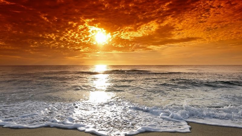 Muğla’nın dünyaca ünlü tatil ilçesi Bodrum’un Ortakent Mahallesi'nde yer alan