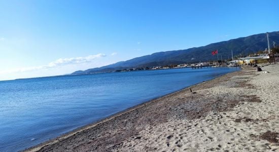 Edremit’in Gözden Kaçan Plajı! Giden Bir Daha Başka Yere Gitmiyor TR201064 fit 550 300 - Marmara Bölge Gazetesi