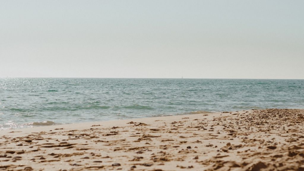 Tasarim 8 - Marmara Bölge Gazetesi