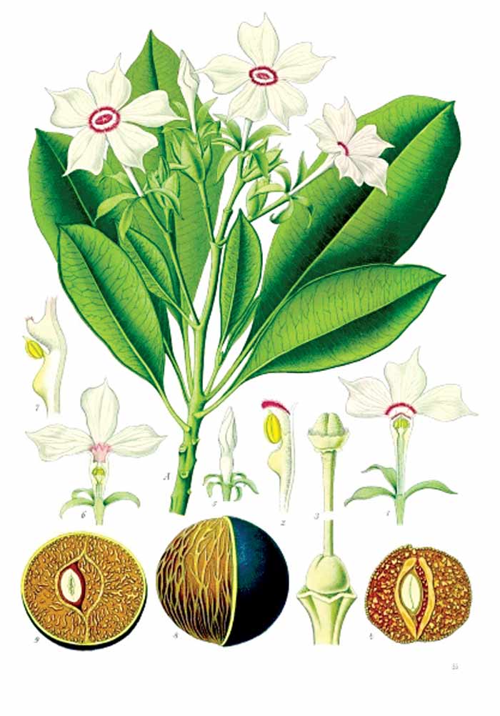 ZxW4hjULqCYWJoG2 636779613187362398 - Marmara Bölge Gazetesi