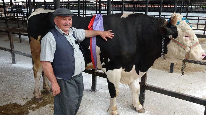 Kurban Bayramı’na sayılı günler kala Kütahya’da canlı hayvan pazarında hareketlilik