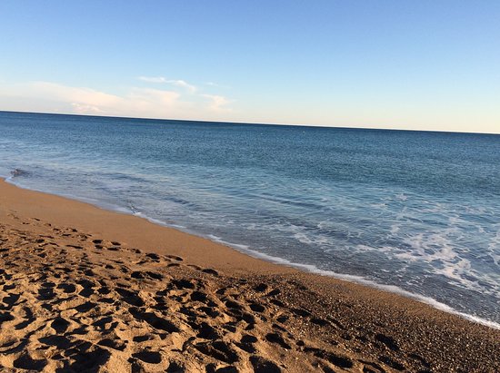Hem Deniz Hem Orman! Tatilde Her Şeyi Bir Arada İsteyenlerin Adresi! cok guzel - Marmara Bölge Gazetesi