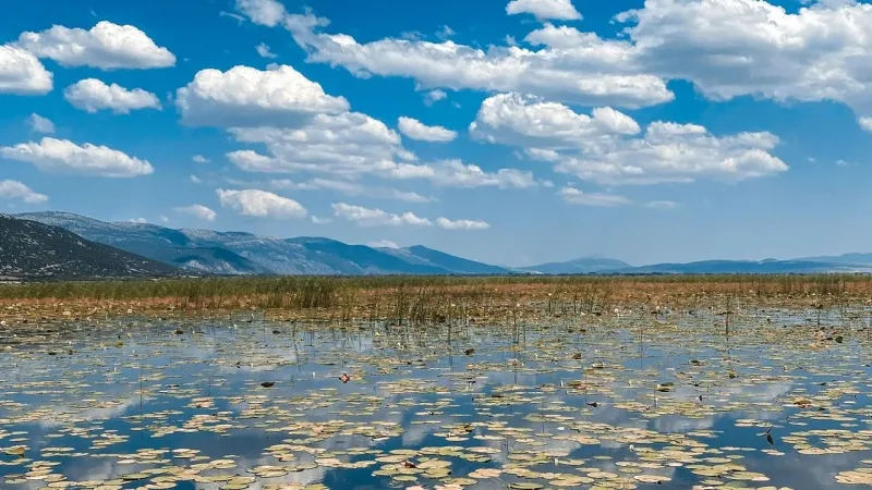 denizli 4 - Marmara Bölge Gazetesi