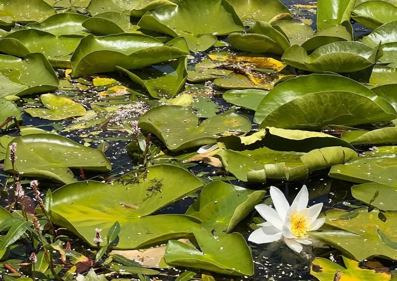 denizli 5 - Marmara Bölge Gazetesi