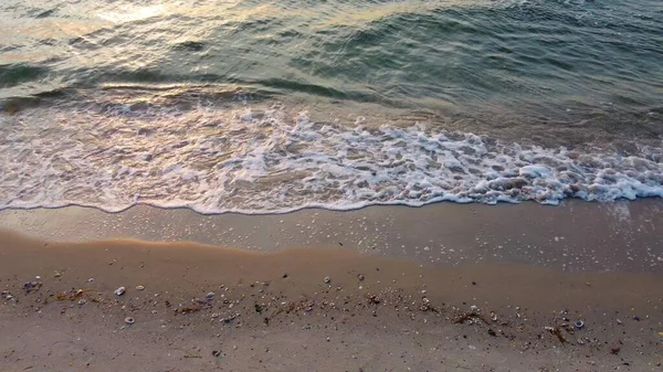 Balıkesir’de Bir Plaj Var Ki... Güzelliğiyle Aklınızı Alacak! depositphotos 507664874 stock photo waves beach sandy beach seashells - Marmara Bölge Gazetesi