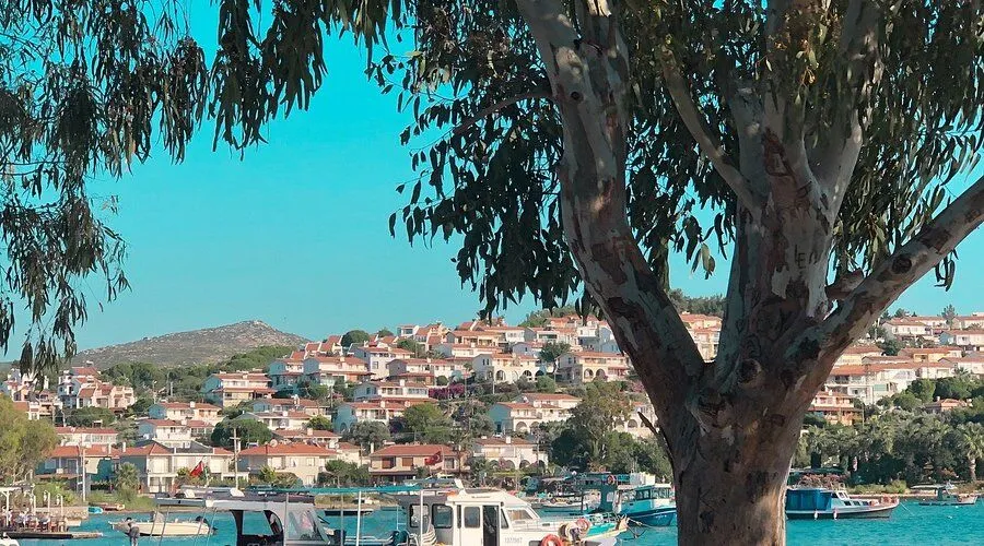 egenin incisi ildir tarih doga ve plajlarin bulusma noktasi - Marmara Bölge Gazetesi