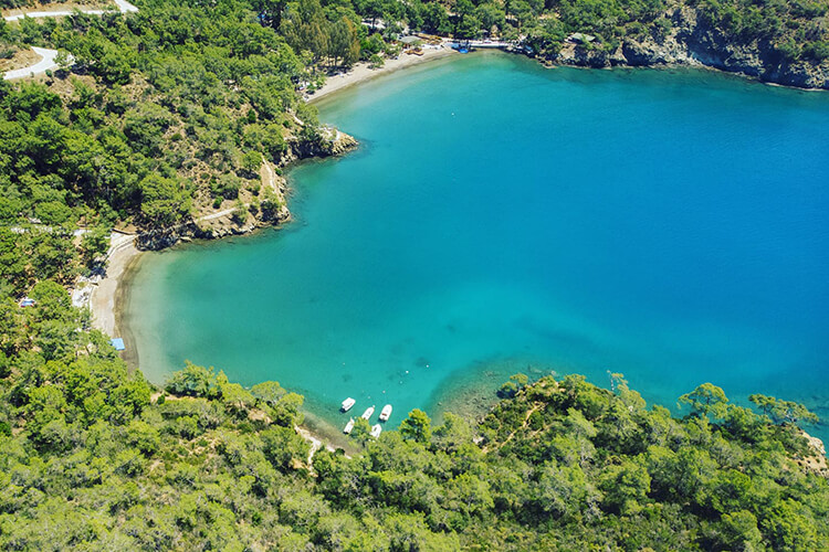 Yeşil ve Mavinin Dansı: Ege’nin Saklı Cenneti Tatilcileri Bekliyor! fethiye katranci koyu orman kampi rezervasyon ve kamp kurallari - Marmara Bölge Gazetesi