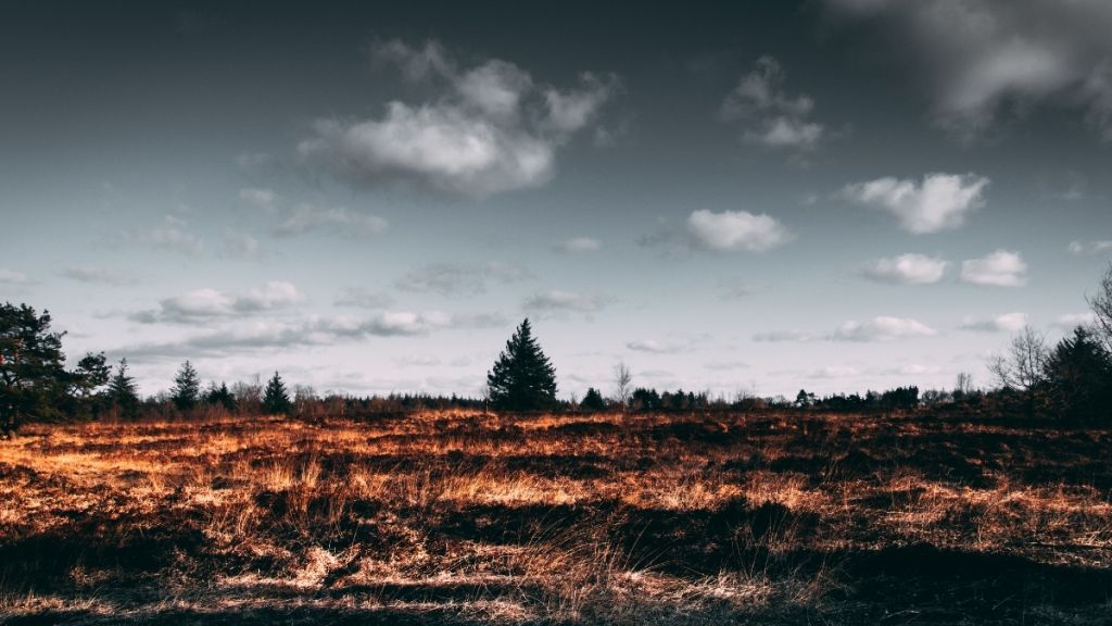Sındırgı Belediye Başkanı Serkan Sak, yaz aylarında artan orman yangınları
