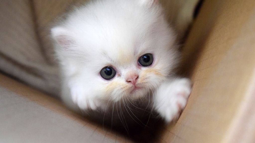 haber gorseli 74 - Marmara Bölge Gazetesi