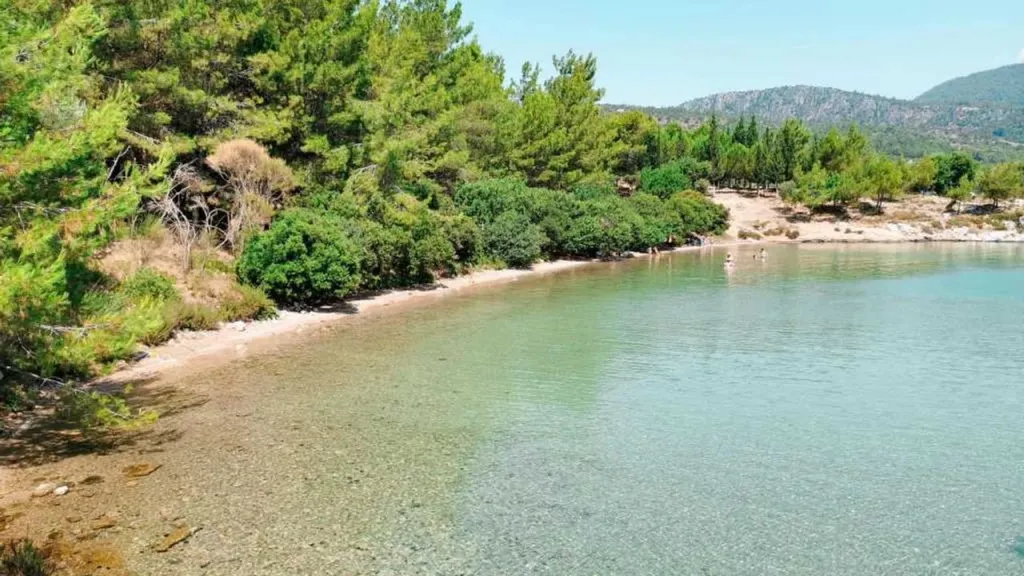 Muğla’nın Didim ilçesine bağlı Akbük Mahallesi sınırlarında yer alan İtfaiyeci