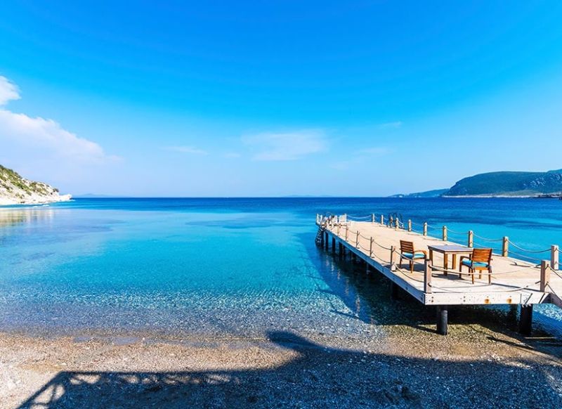 Ege’de Cam Gibi Deniz ve Mimoza Ağaçlarıyla Saklı Bir Koy izmir mimoza koyu nerede - Marmara Bölge Gazetesi