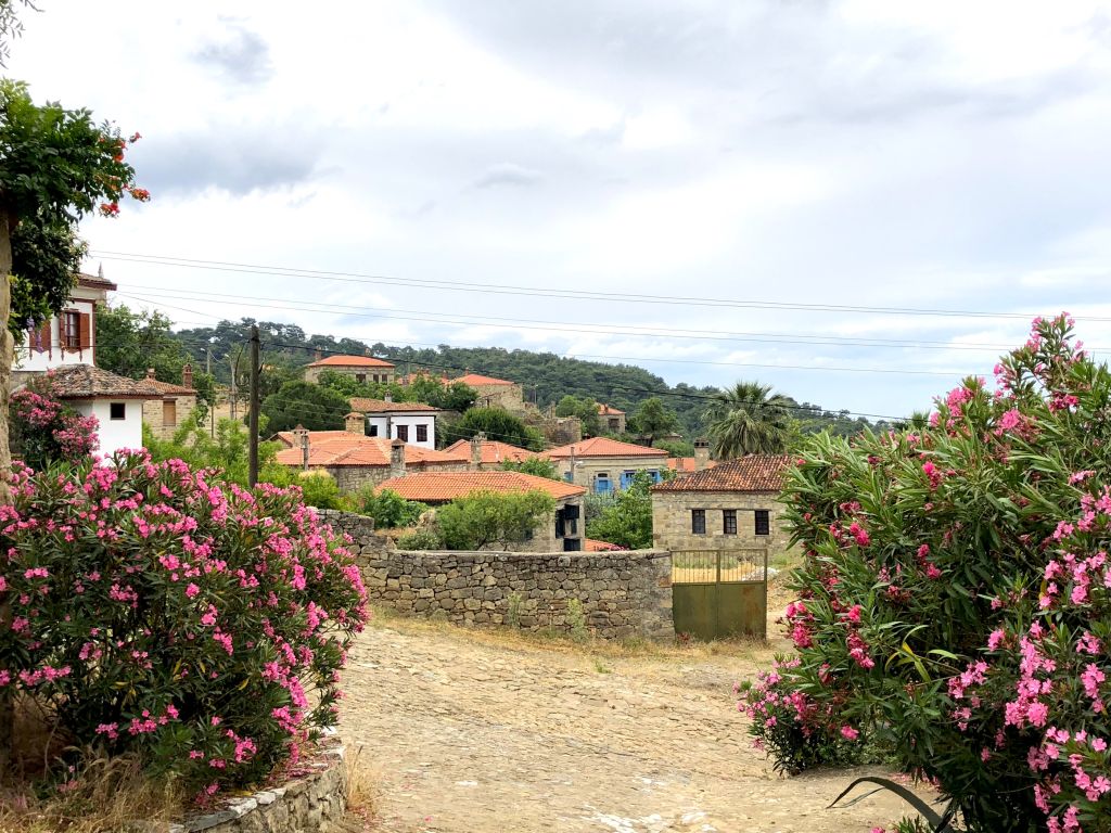 kazdaglari koyleri - Marmara Bölge Gazetesi