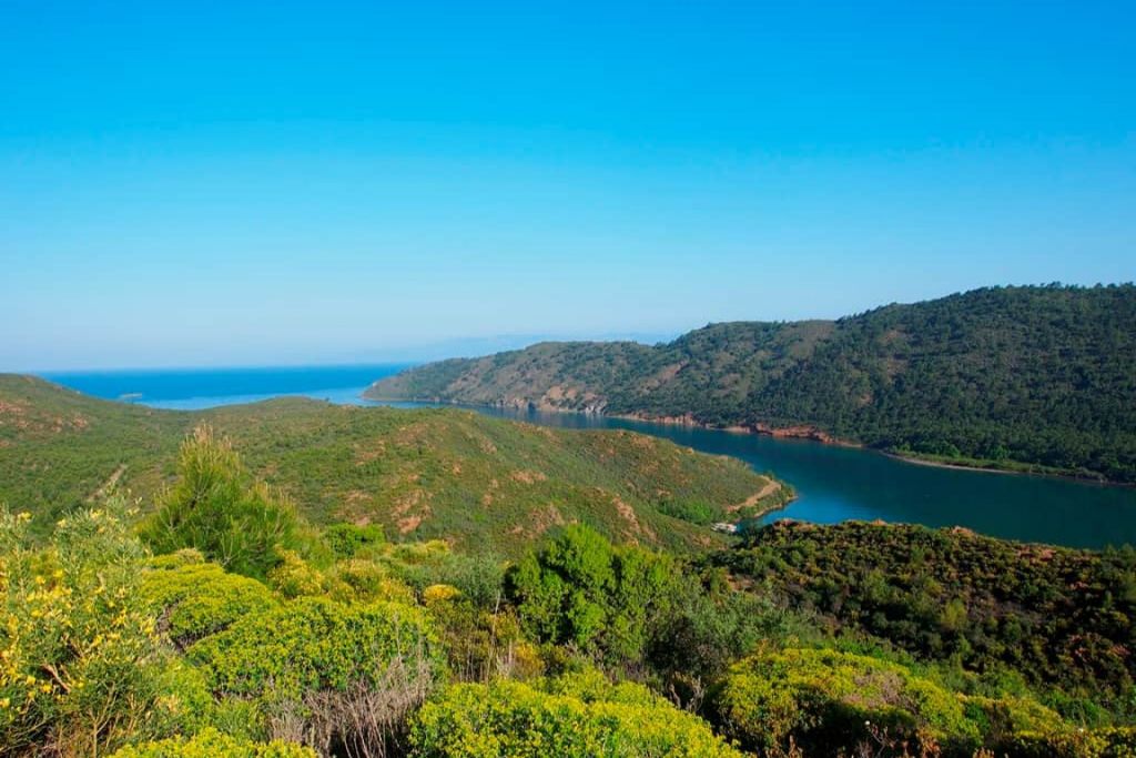 Muğla’nın Bodrum ilçesinde, doğayla iç içe ve kalabalıktan uzak bir