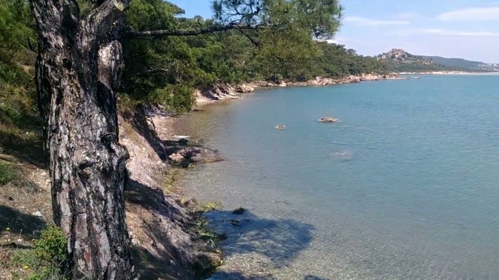 maxresdefault 21 - Marmara Bölge Gazetesi