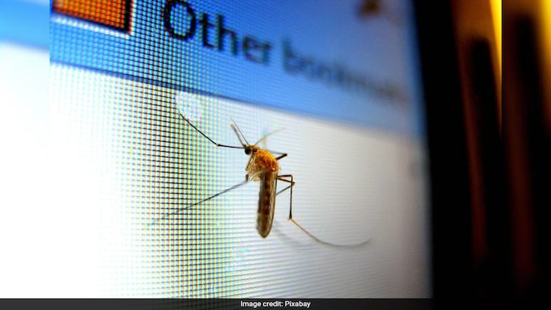 mlr86hso small drone 625x300 22 yssq - Marmara Bölge Gazetesi