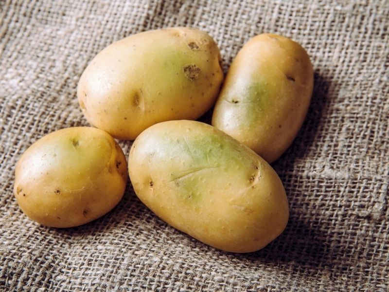 Patates suyu, son yıllarda cilt lekeleri, göz altı kararması, yağlanma