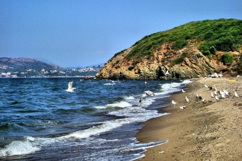 panoramio 40819879 - Marmara Bölge Gazetesi