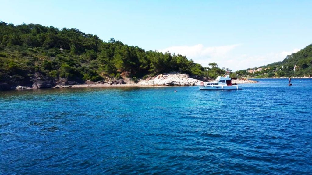 pasa 1 - Marmara Bölge Gazetesi