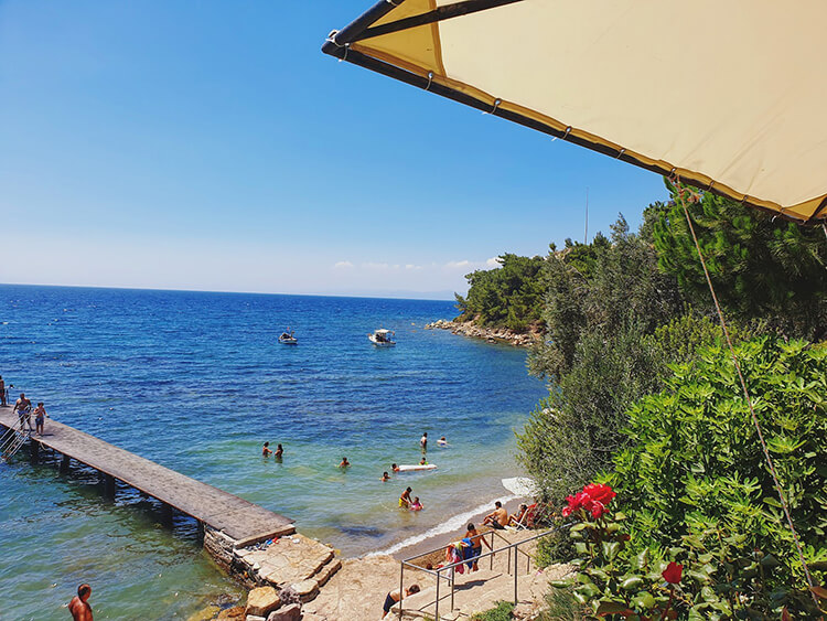 Balıkesir Burhaniye’de Zeytin Ağaçlarının Altında Gizlenen Koy pelitkoy icmeler plaji - Marmara Bölge Gazetesi