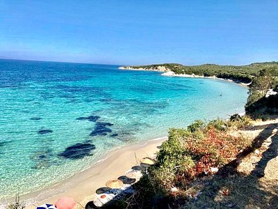 pisa koyu - Marmara Bölge Gazetesi