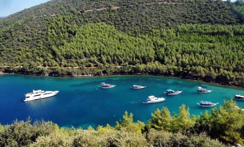 Bodrum’un keşfedilmemiş cennetlerinden biri olan Mazı İnceyalı Koyu, doğayla baş