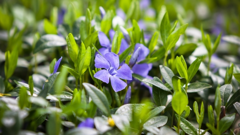 10 - Marmara Bölge Gazetesi