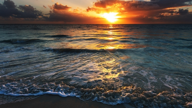 Muğla'nın saklı cennetlerinden Haydar Koyu, bakir doğası ve dingin atmosferiyle