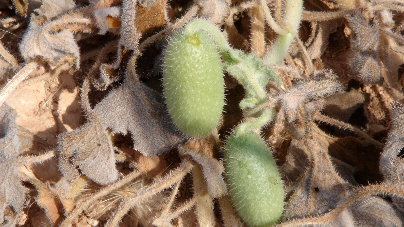 2 3 - Marmara Bölge Gazetesi