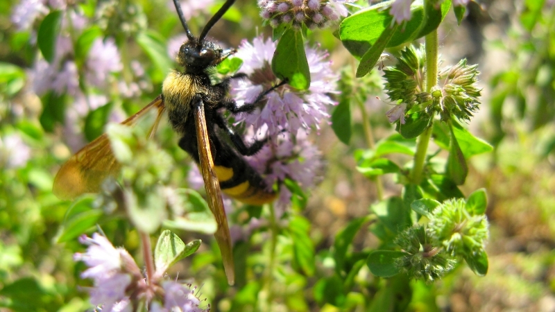 2 4 - Marmara Bölge Gazetesi