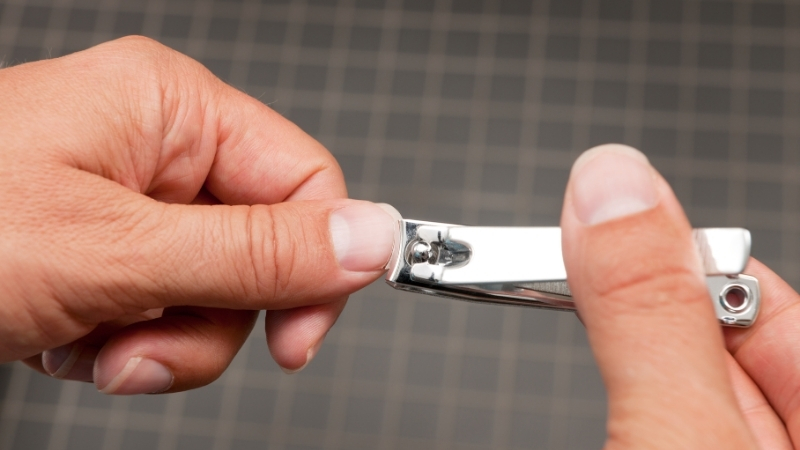 2 40 - Marmara Bölge Gazetesi