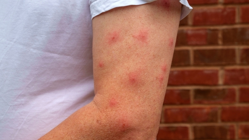 2 51 - Marmara Bölge Gazetesi