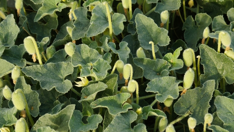 3 3 - Marmara Bölge Gazetesi