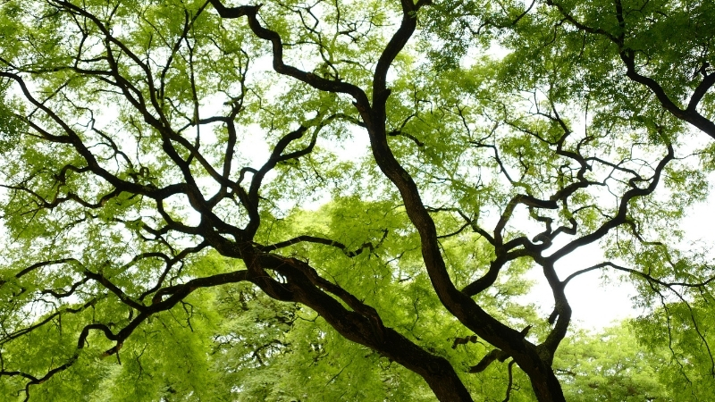 3 31 - Marmara Bölge Gazetesi