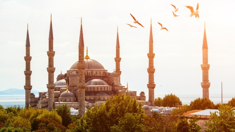 3 55 - Marmara Bölge Gazetesi