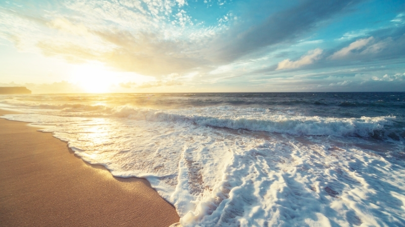 Marmara Denizi'nin incisi Avşa Adası, altın rengi plajları ve huzur