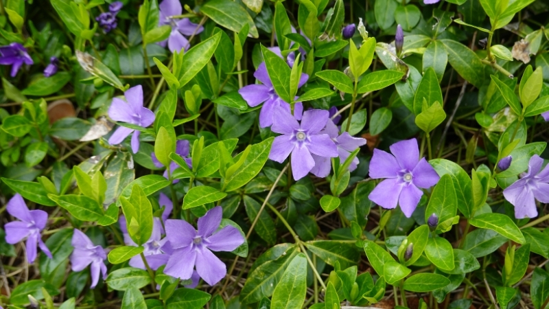 3 - Marmara Bölge Gazetesi