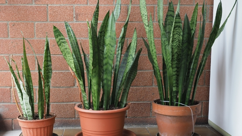 4 43 - Marmara Bölge Gazetesi