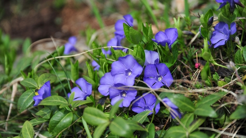 4 - Marmara Bölge Gazetesi