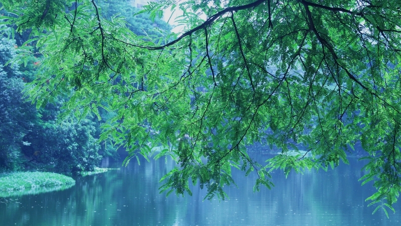 5 11 - Marmara Bölge Gazetesi