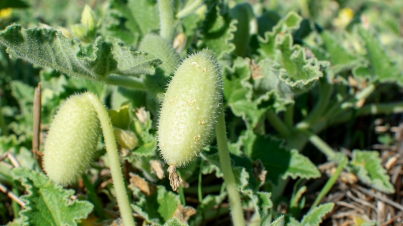 5 2 - Marmara Bölge Gazetesi