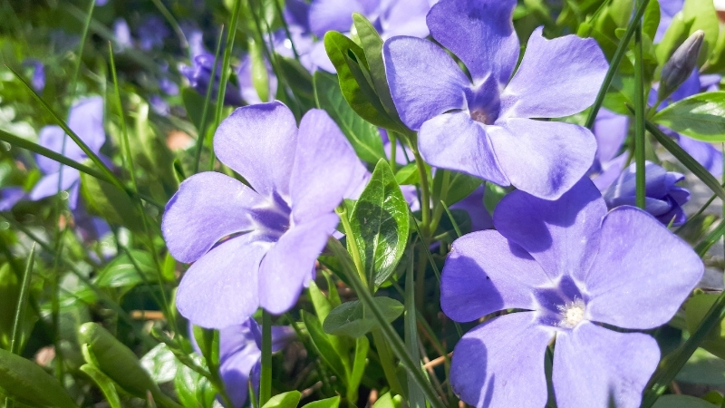 5 - Marmara Bölge Gazetesi