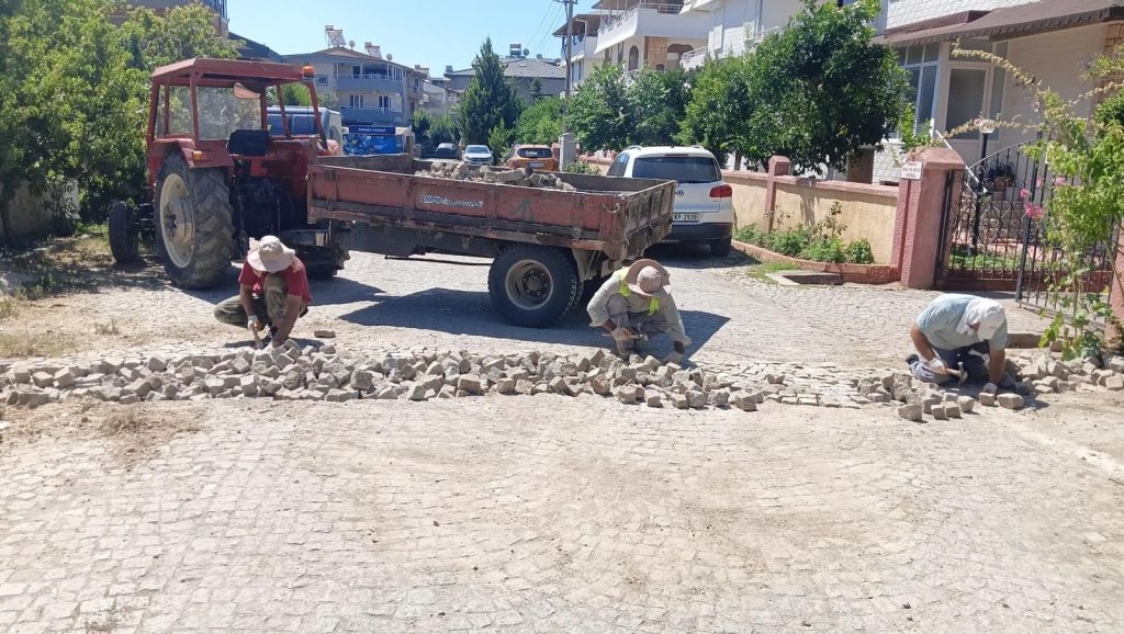 Edremit’te Daha Önce Görülmemiş Bir Yenilik! 514183705 740167451707616 5947863401056883374 n - Marmara Bölge Gazetesi