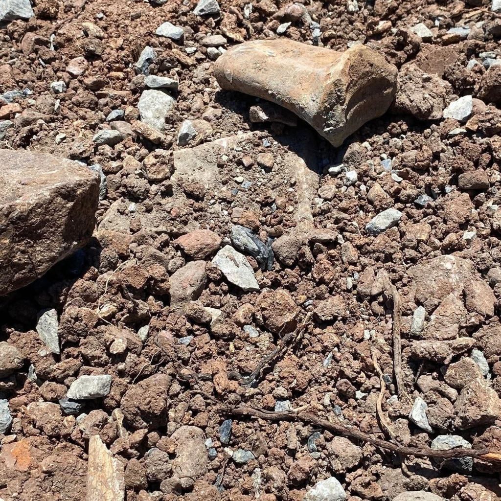 514341141 1078460141083269 948752806146331489 n - Marmara Bölge Gazetesi