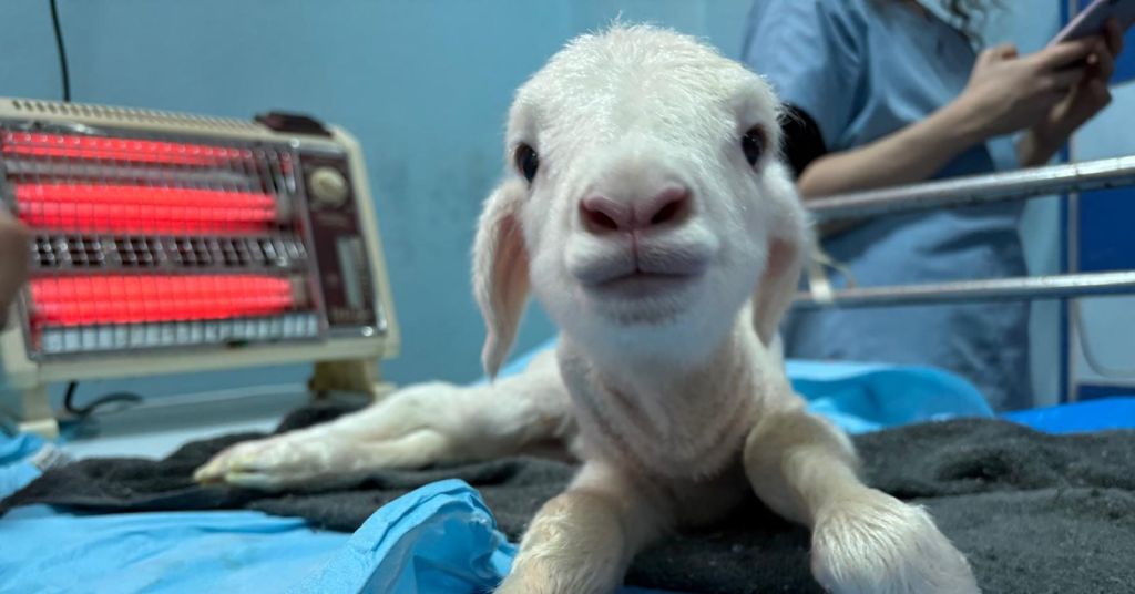 515097030 1158770229613500 7416870023380973589 n - Marmara Bölge Gazetesi